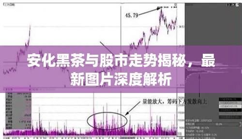 安化黑茶與股市走勢(shì)揭秘，最新圖片深度解析