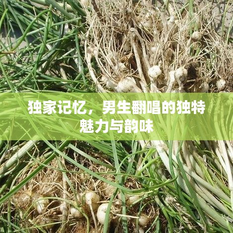 獨家記憶，男生翻唱的獨特魅力與韻味