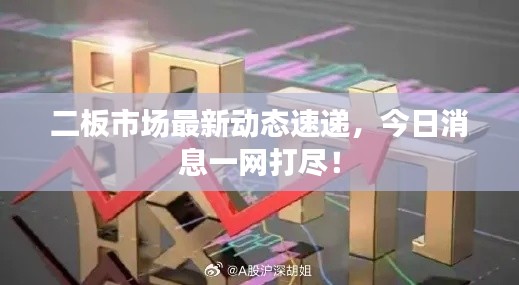二板市場最新動態(tài)速遞，今日消息一網(wǎng)打盡！