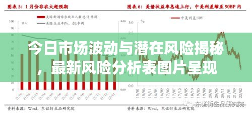 今日市場(chǎng)波動(dòng)與潛在風(fēng)險(xiǎn)揭秘，最新風(fēng)險(xiǎn)分析表圖片呈現(xiàn)
