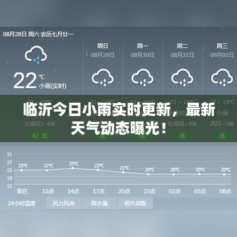 臨沂今日小雨實(shí)時(shí)更新，最新天氣動(dòng)態(tài)曝光！
