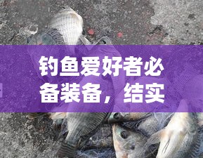 釣魚愛好者必備裝備，結(jié)實(shí)不斷的釣竿，讓你輕松釣上大魚！