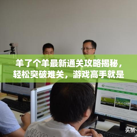 羊了個羊最新通關(guān)攻略揭秘，輕松突破難關(guān)，游戲高手就是你！