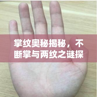 掌紋奧秘揭秘，不斷掌與兩紋之謎探秘
