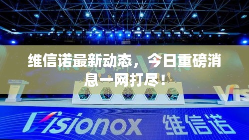 維信諾最新動(dòng)態(tài)，今日重磅消息一網(wǎng)打盡！