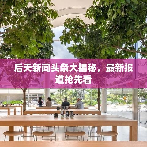 后天新聞?lì)^條大揭秘，最新報(bào)道搶先看