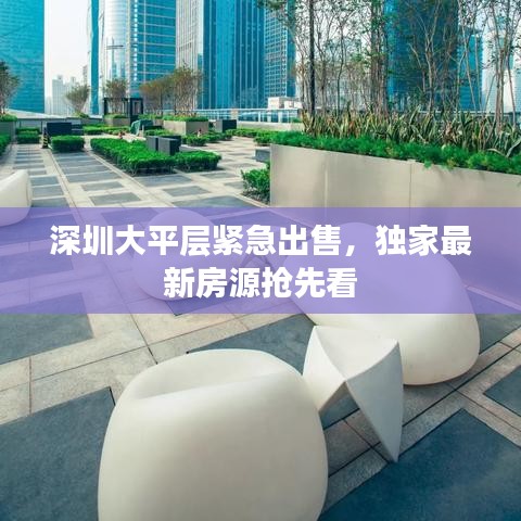 深圳大平層緊急出售，獨(dú)家最新房源搶先看
