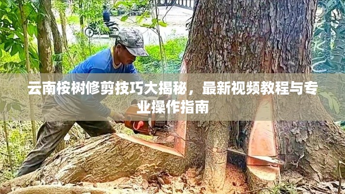 暗室屋漏