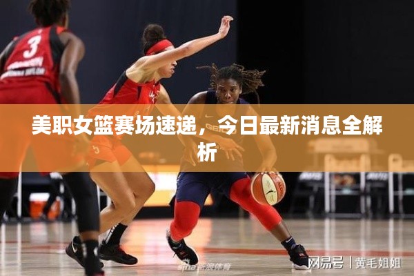 美職女籃賽場速遞，今日最新消息全解析