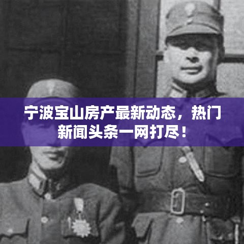 寧波寶山房產(chǎn)最新動(dòng)態(tài)，熱門(mén)新聞?lì)^條一網(wǎng)打盡！