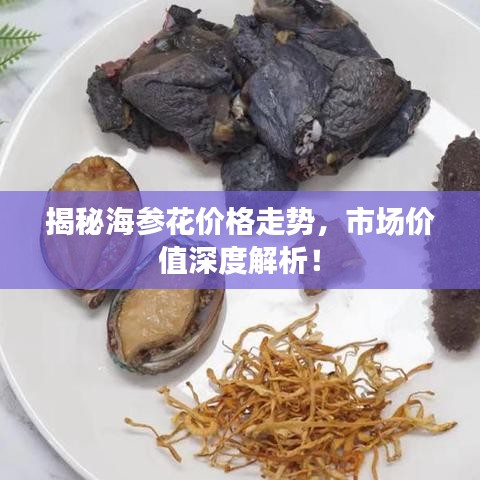 揭秘海參花價(jià)格走勢，市場價(jià)值深度解析！