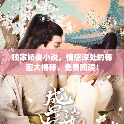 獨(dú)家嬌妻小說(shuō)，情感深處的秘密大揭秘，免費(fèi)閱讀！