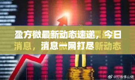 盈方微最新動態(tài)速遞，今日消息一網(wǎng)打盡