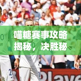喵糖賽事攻略揭秘，決勝秘訣助你輕松奪冠！