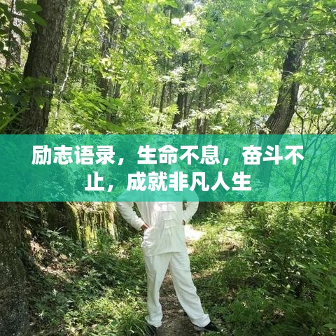勵志語錄，生命不息，奮斗不止，成就非凡人生