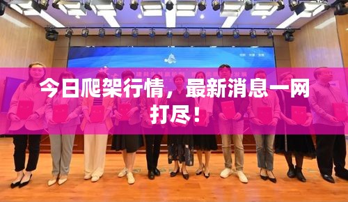 今日爬架行情，最新消息一網(wǎng)打盡！