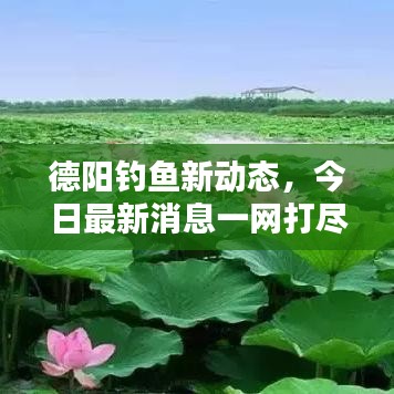 德陽(yáng)釣魚(yú)新動(dòng)態(tài)，今日最新消息一網(wǎng)打盡！