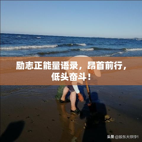 勵志正能量語錄，昂首前行，低頭奮斗！