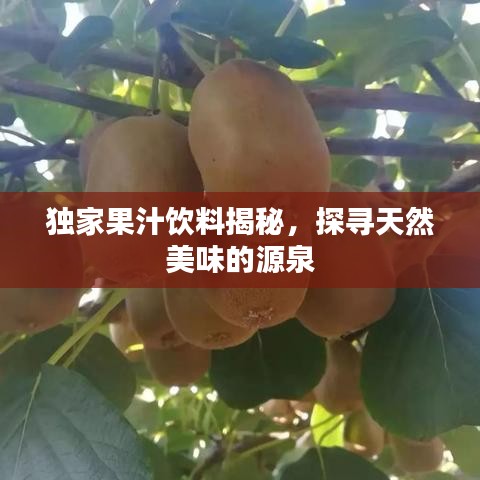 獨(dú)家果汁飲料揭秘，探尋天然美味的源泉