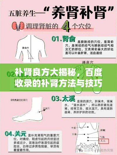 補(bǔ)腎良方大揭秘，百度收錄的補(bǔ)腎方法與技巧