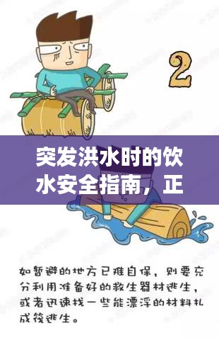 突發(fā)洪水時(shí)的飲水安全指南，正確飲水視頻教程助你應(yīng)對(duì)危機(jī)