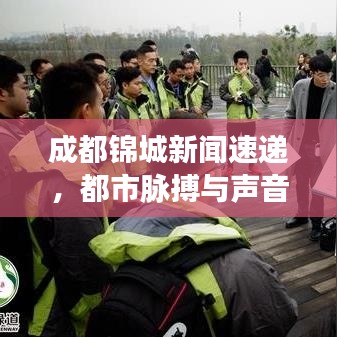 成都錦城新聞速遞，都市脈搏與聲音聚焦頭條