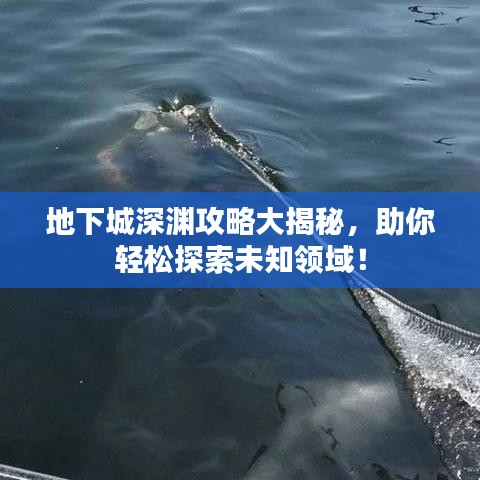 地下城深淵攻略大揭秘，助你輕松探索未知領(lǐng)域！