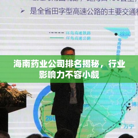海南藥業(yè)公司排名揭秘，行業(yè)影響力不容小覷