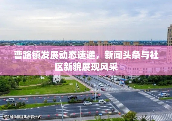 曹路鎮(zhèn)發(fā)展動(dòng)態(tài)速遞，新聞?lì)^條與社區(qū)新貌展現(xiàn)風(fēng)采