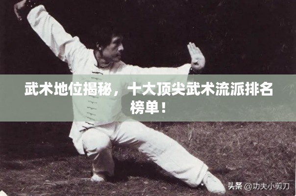 武術(shù)地位揭秘，十大頂尖武術(shù)流派排名榜單！