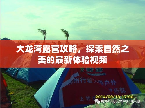 大龍灣露營(yíng)攻略，探索自然之美的最新體驗(yàn)視頻