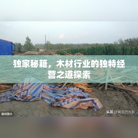 獨家秘籍，木材行業(yè)的獨特經(jīng)營之道探索