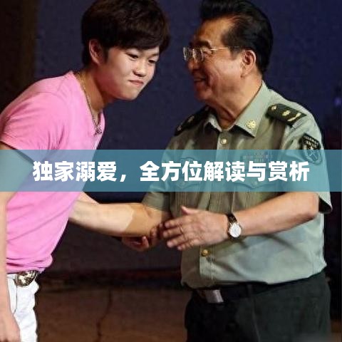 獨家溺愛，全方位解讀與賞析