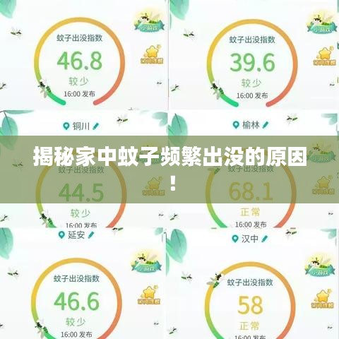 揭秘家中蚊子頻繁出沒的原因！