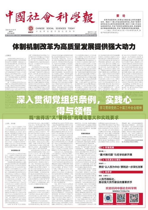 深入貫徹黨組織條例，實(shí)踐心得與領(lǐng)悟