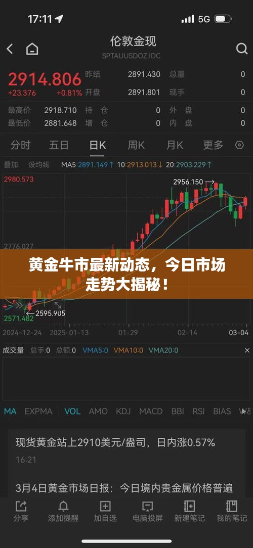 黃金牛市最新動(dòng)態(tài)，今日市場(chǎng)走勢(shì)大揭秘！