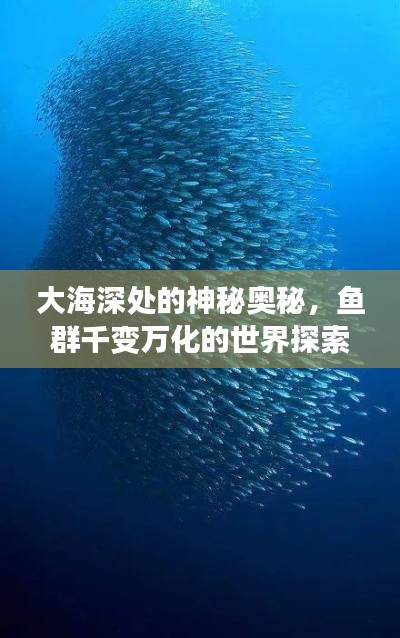 大海深處的神秘奧秘，魚群千變?nèi)f化的世界探索
