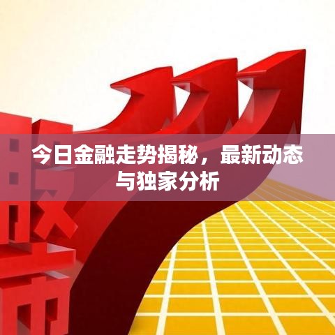 今日金融走勢(shì)揭秘，最新動(dòng)態(tài)與獨(dú)家分析