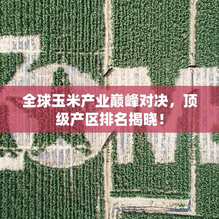 全球玉米產(chǎn)業(yè)巔峰對決，頂級產(chǎn)區(qū)排名揭曉！