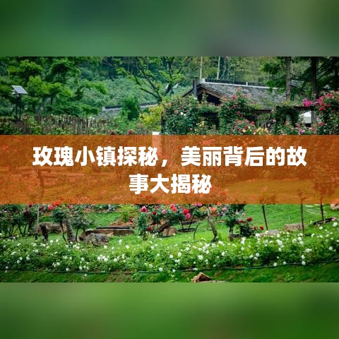 玫瑰小鎮(zhèn)探秘，美麗背后的故事大揭秘