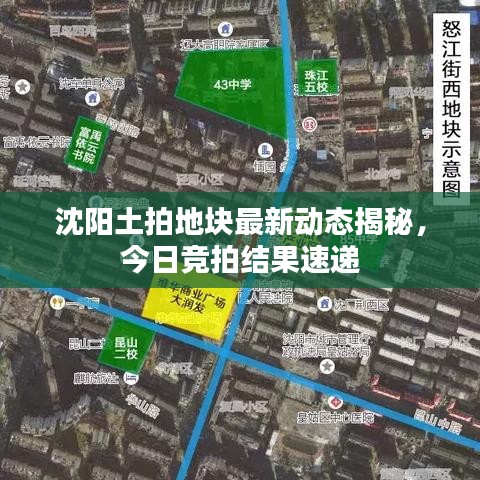 差強人意