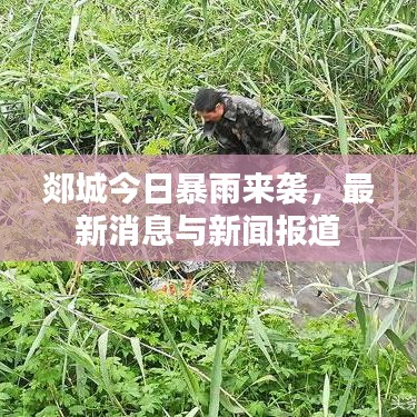 郯城今日暴雨來襲，最新消息與新聞報(bào)道