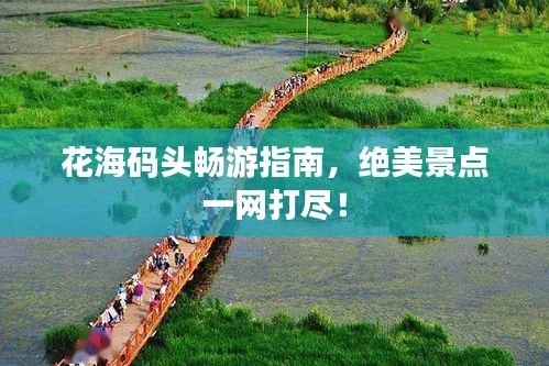 花海碼頭暢游指南，絕美景點(diǎn)一網(wǎng)打盡！