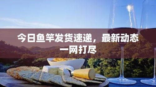 今日魚(yú)竿發(fā)貨速遞，最新動(dòng)態(tài)一網(wǎng)打盡