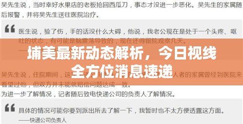 埔美最新動(dòng)態(tài)解析，今日視線全方位消息速遞