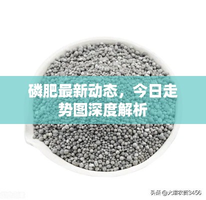 磷肥最新動(dòng)態(tài)，今日走勢(shì)圖深度解析