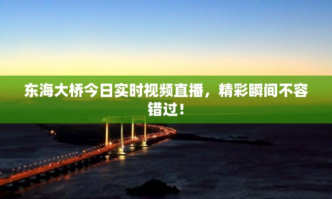 東海大橋今日實時視頻直播，精彩瞬間不容錯過！