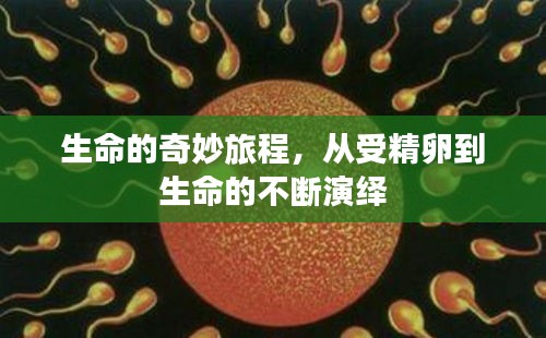 釵荊裙布