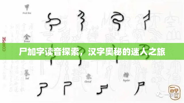 尸加字讀音探索，漢字奧秘的迷人之旅