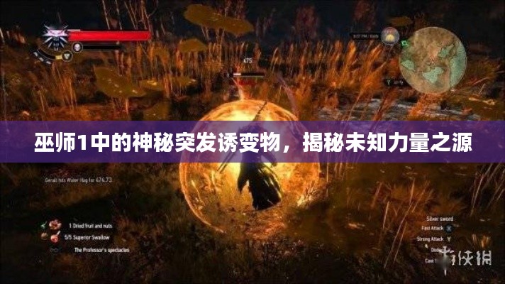 巫師1中的神秘突發(fā)誘變物，揭秘未知力量之源